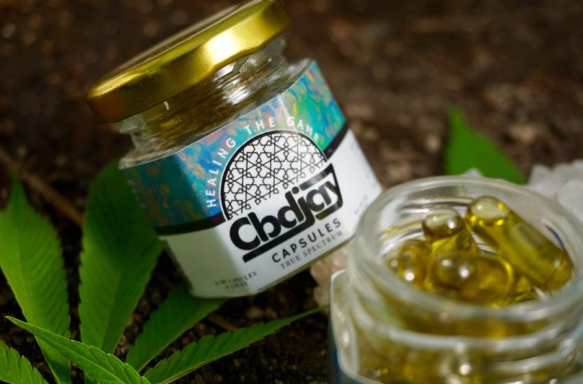  CBDJay Review (CBD Brand from Santa Fe, New Mexico)