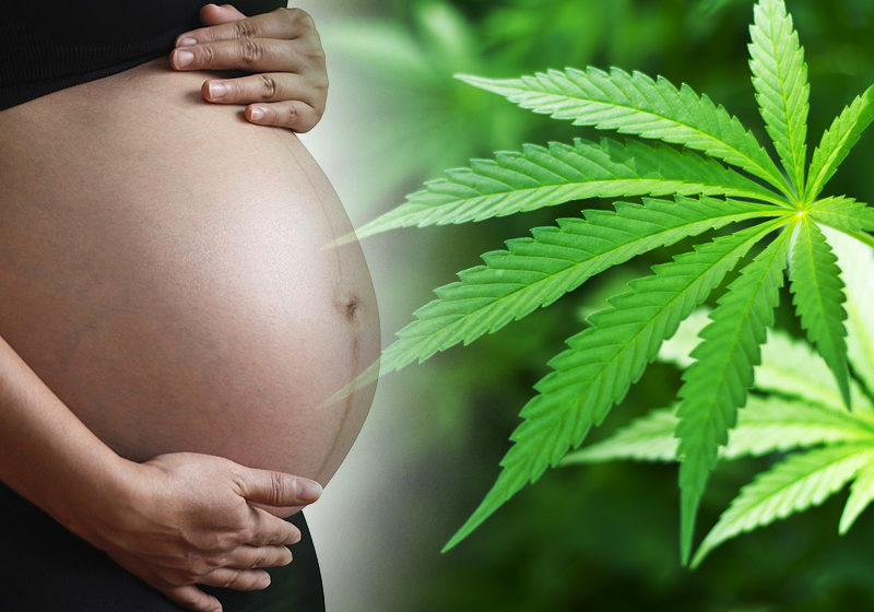  Cannabis and Pregnancy