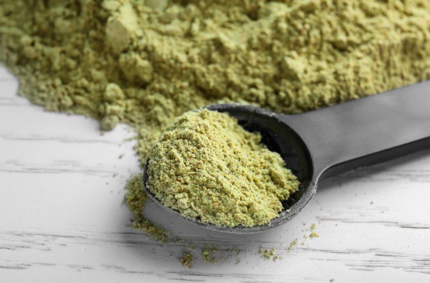  Hemp High Protein Meal Replacement