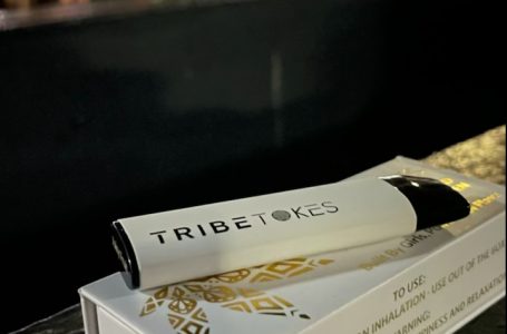 Unbiased TribeTokes Review